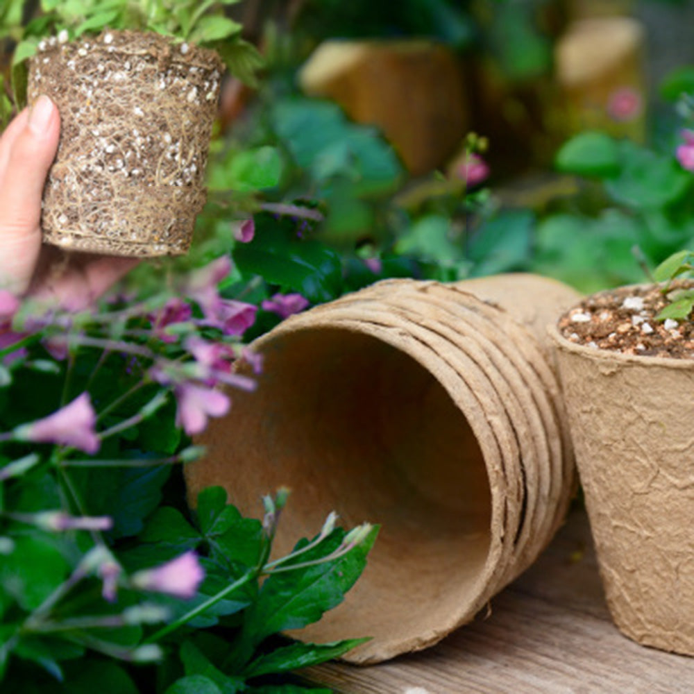 Garden Eco Paper Cups: 50pcs Breathable Planting Tray Bulk Pack