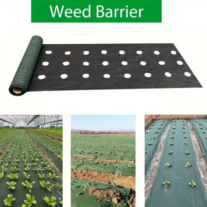 Pre-punched Holes Perforated Grass Proof Cloth Double Layer Breathable Permeable Weed Barrier Cloth Biodegradable