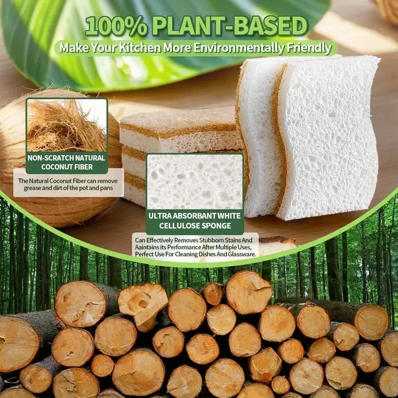 Natural Cellulose Kitchen Sponge & Coconut Scrubber Pack