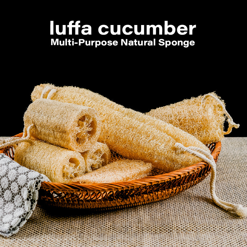 Natural Loofah Sponge Set - Eco Dish & Pot Scrubber
