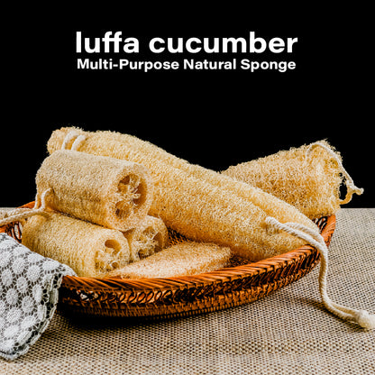 Natural Loofah Sponge Set - Eco Dish & Pot Scrubber