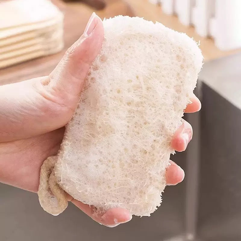 Loofah Sponge - Biodegradable Kitchen Cleaner