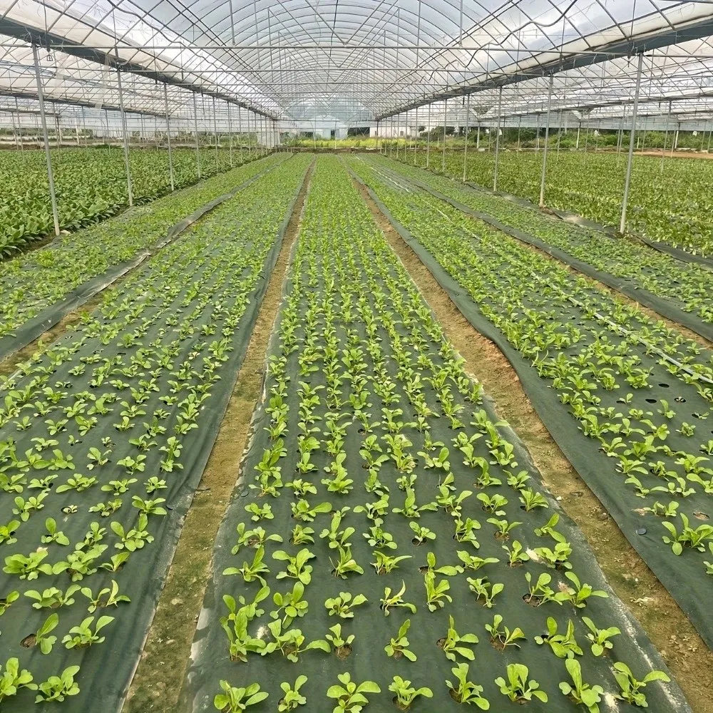 Pre-punched Holes Perforated Grass Proof Cloth Double Layer Breathable Permeable Weed Barrier Cloth Biodegradable