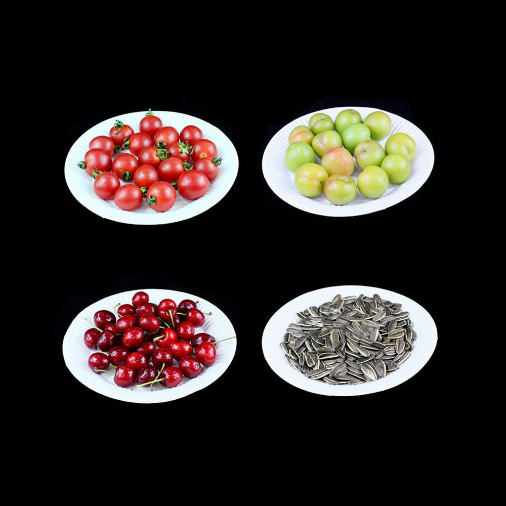 Paper Plate: Disposable White Paper Plates - DIY Birthday Party Set