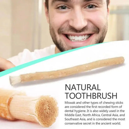 Eco Friendly No Toothpaste Needed Miswak Toothbrush Soft Bristles Traditional Miswak Sticks for Teeth Teeth Whitener Travel